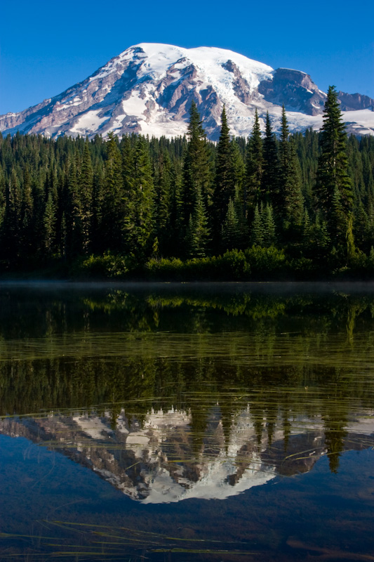 Mount Rainier Reflected In Reflection Lake